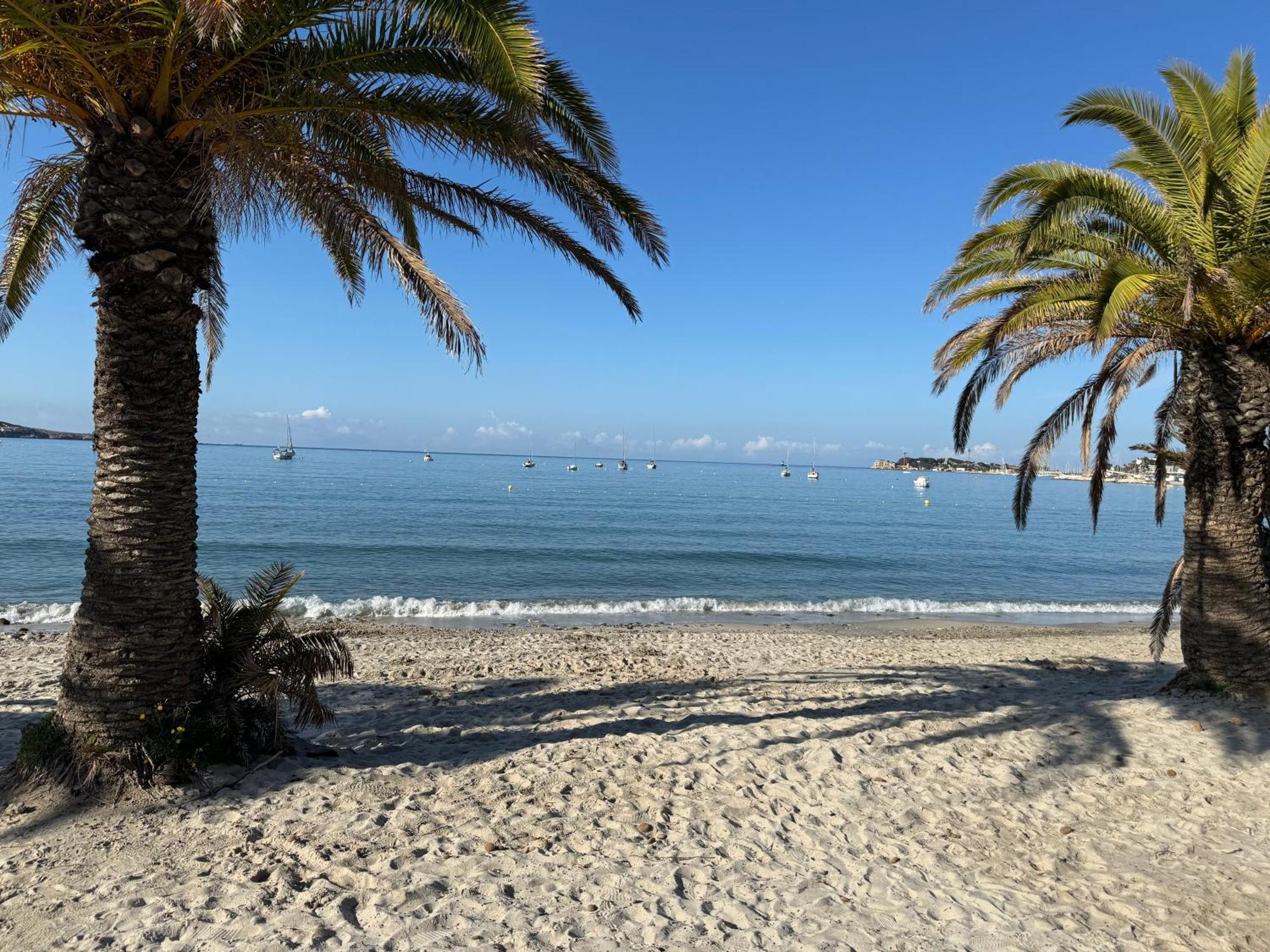 T3 Neuf Avec Terrasse Et Jardin Face A La Mer 邦多勒 外观 照片